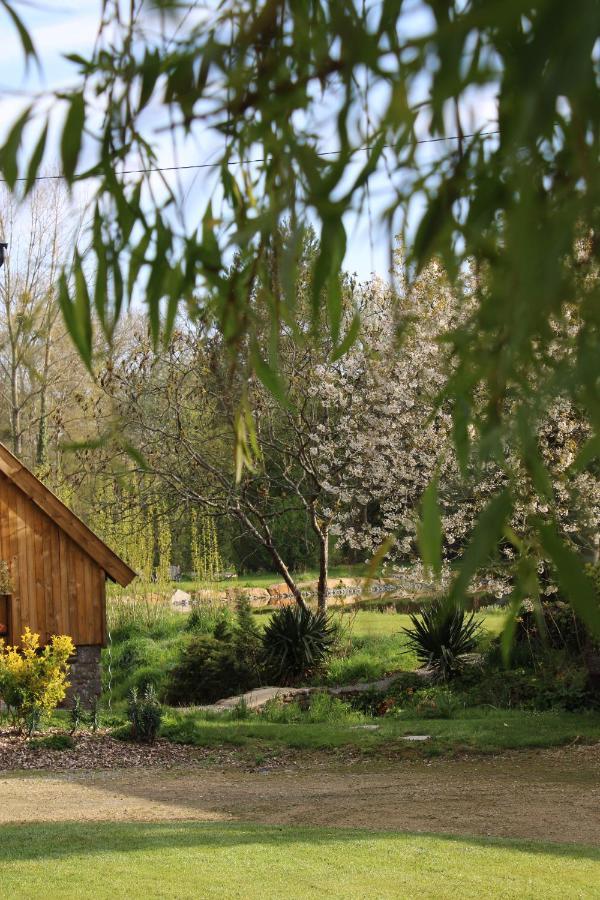 Le Manoir Des Haies Spa Les Champs-Géraux Exteriér fotografie