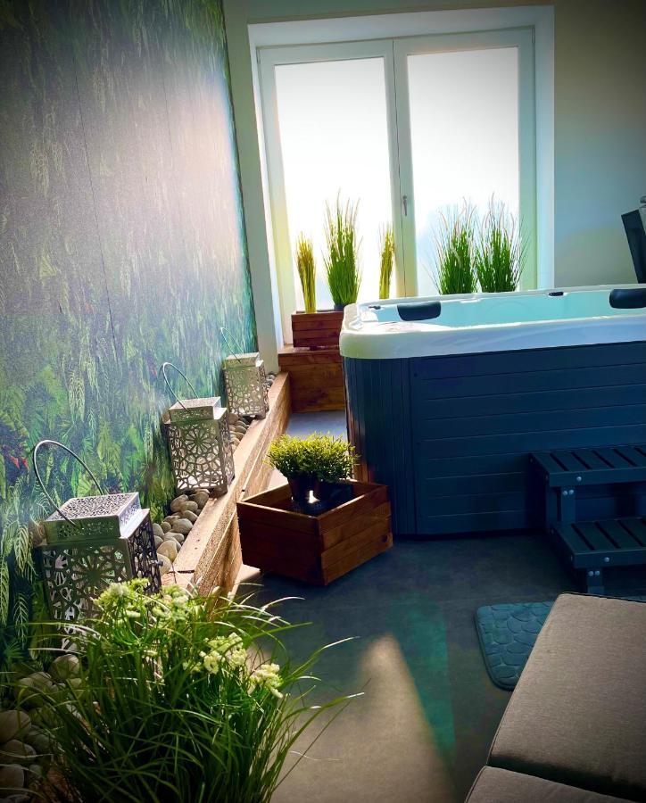 Le Manoir Des Haies Spa Les Champs-Géraux Exteriér fotografie