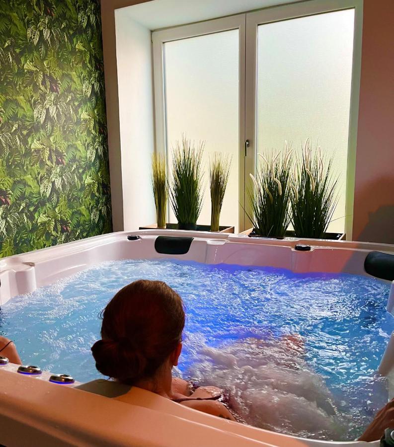 Le Manoir Des Haies Spa Les Champs-Géraux Exteriér fotografie